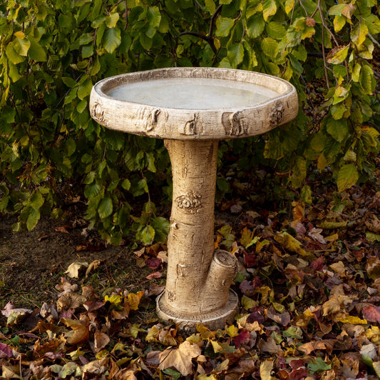 Birch Birdbath