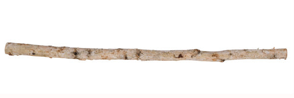 39.25"L X 1.5"DIA BIRCH LOG