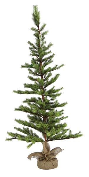 5'H Cascade Pine Slim Tree